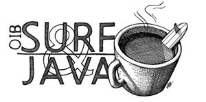 oibsurfandjavalogo