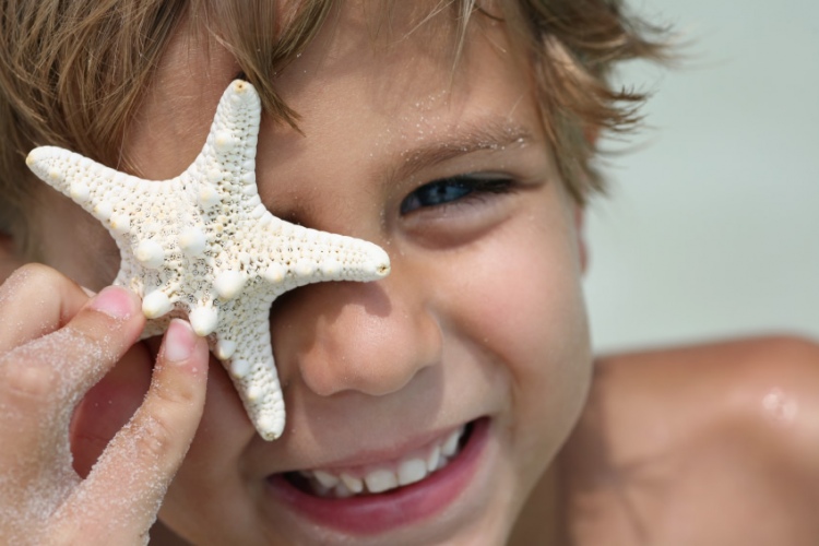 Museum of Coastal Carolinas Fall Schedule