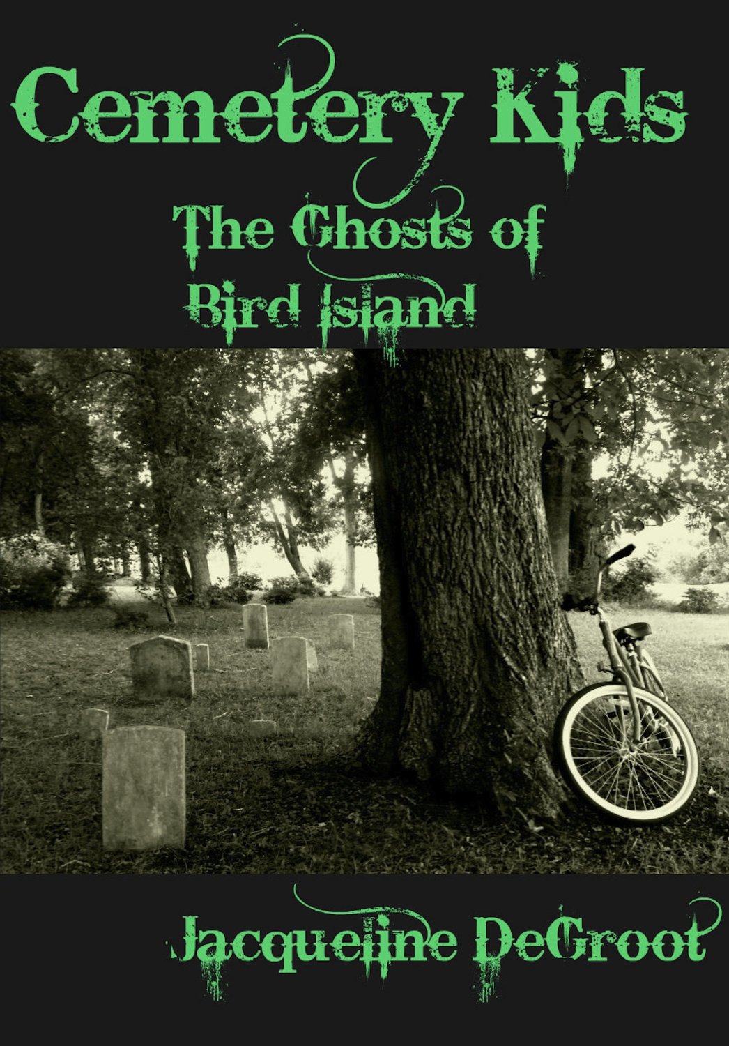 Cemetery Kids The Ghosts of Bird Island