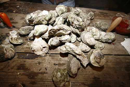 How To Do An Oyster Roast
