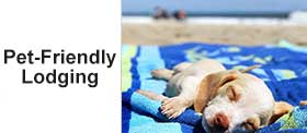 Pet-Friendly hotels Ocean Isle Beach NC
