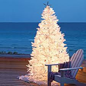 Ocean Isle Beach and Sunset Beach Christmas Events
