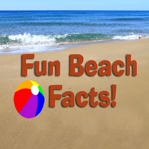 Beach Facts