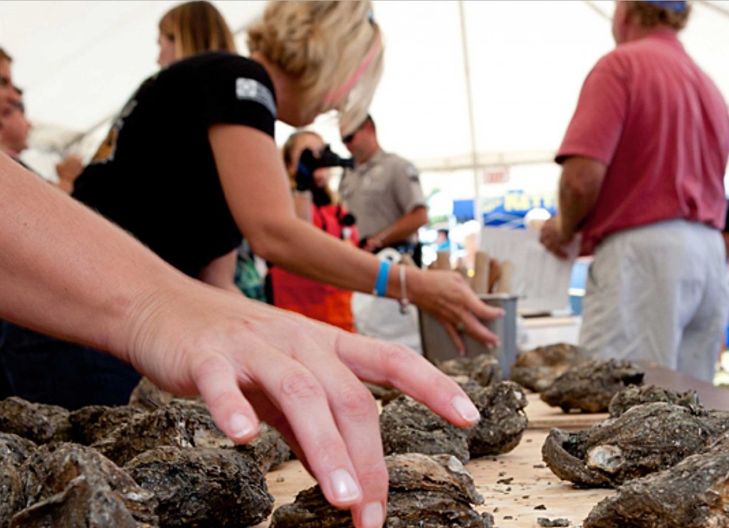 NC Oyster Festival Shucking Contest