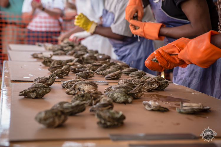 NC Oyster Festival Ocean Isle Beach