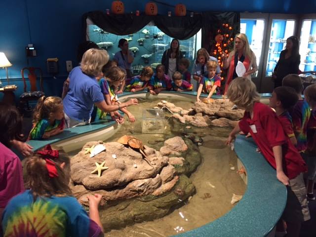 kids-activities-ocean-isle-beach-museum-of-coastal-carolina
