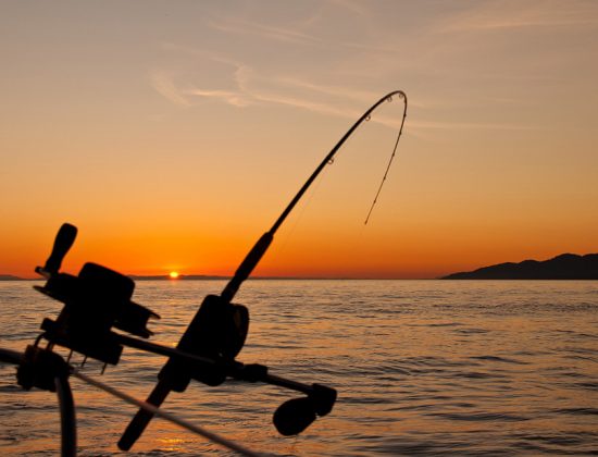 Capt. Austin’s Fishing Adventure